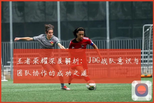 王者荣耀深度解析：JDG战队意识与团队协作的成功之道