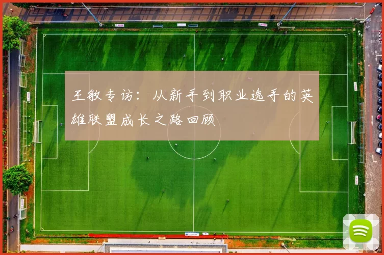 王敏专访：从新手到职业选手的英雄联盟成长之路回顾