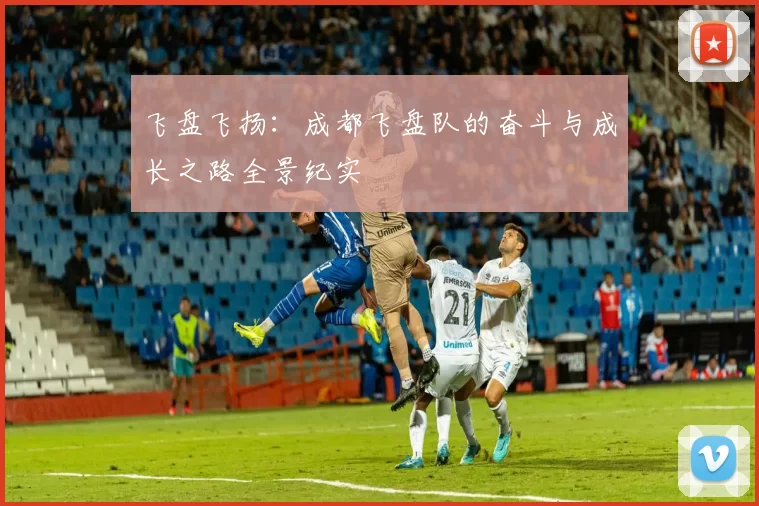 飞盘飞扬：成都飞盘队的奋斗与成长之路全景纪实