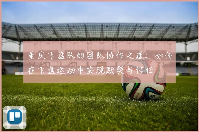 重庆飞盘队的团队协作之道：如何在飞盘运动中实现默契与信任