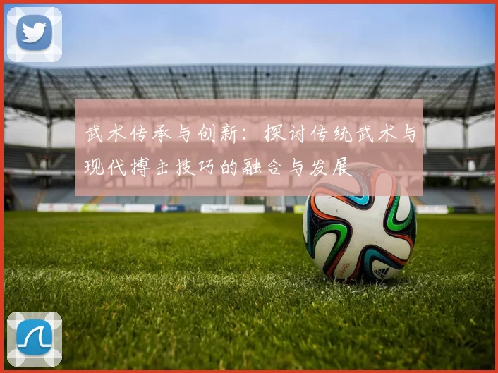 武术传承与创新：探讨传统武术与现代搏击技巧的融合与发展