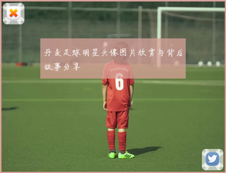 丹麦足球明星头像图片欣赏与背后故事分享