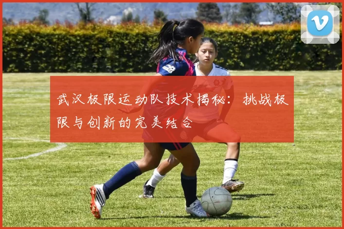 武汉极限运动队技术揭秘：挑战极限与创新的完美结合