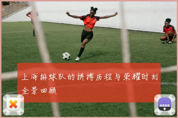 上海排球队的拼搏历程与荣耀时刻全景回顾