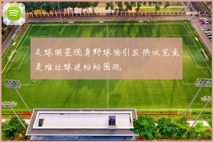 足球明星现身野球场引发热议究竟是谁让球迷纷纷围观