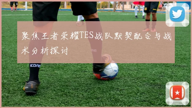 聚焦王者荣耀TES战队默契配合与战术分析探讨