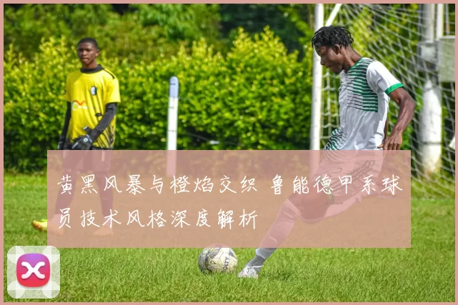 黄黑风暴与橙焰交织 鲁能德甲系球员技术风格深度解析