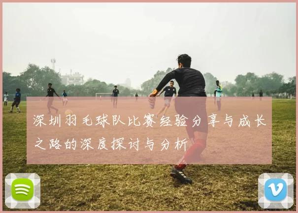 深圳羽毛球队比赛经验分享与成长之路的深度探讨与分析