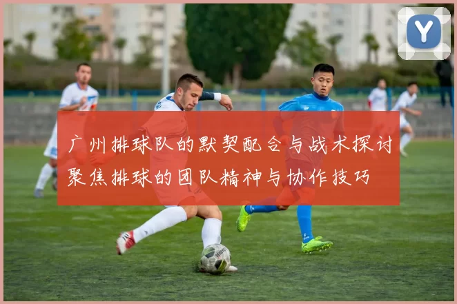 广州排球队的默契配合与战术探讨聚焦排球的团队精神与协作技巧