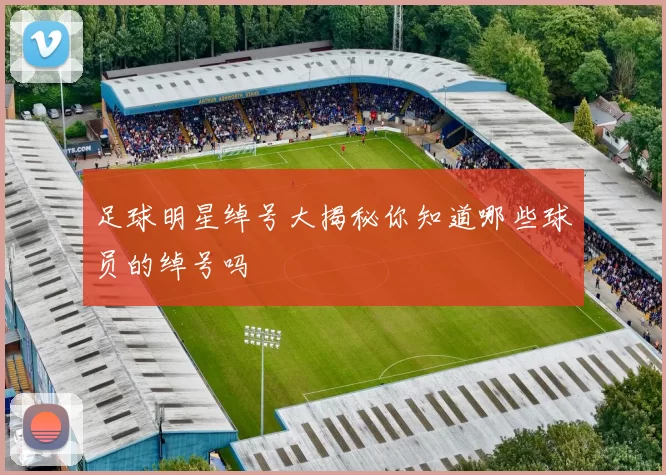足球明星绰号大揭秘你知道哪些球员的绰号吗