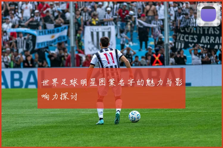 世界足球明星图案名字的魅力与影响力探讨