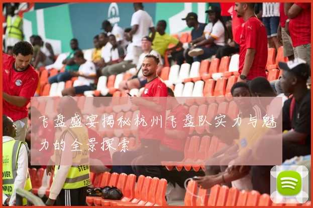 飞盘盛宴揭秘杭州飞盘队实力与魅力的全景探索