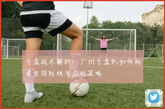 飞盘战术解析：广州飞盘队如何构建坚固防线与应对策略