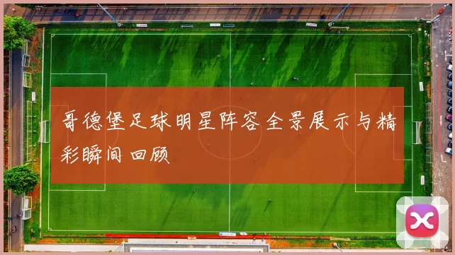 哥德堡足球明星阵容全景展示与精彩瞬间回顾