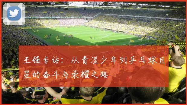 王强专访：从青涩少年到乒乓球巨星的奋斗与荣耀之路