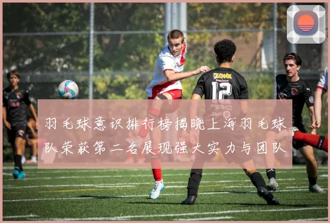 羽毛球意识排行榜揭晓上海羽毛球队荣获第二名展现强大实力与团队合作