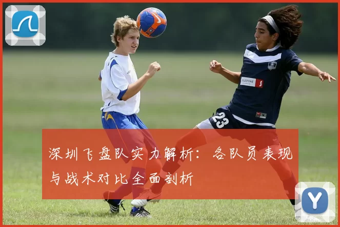深圳飞盘队实力解析：各队员表现与战术对比全面剖析