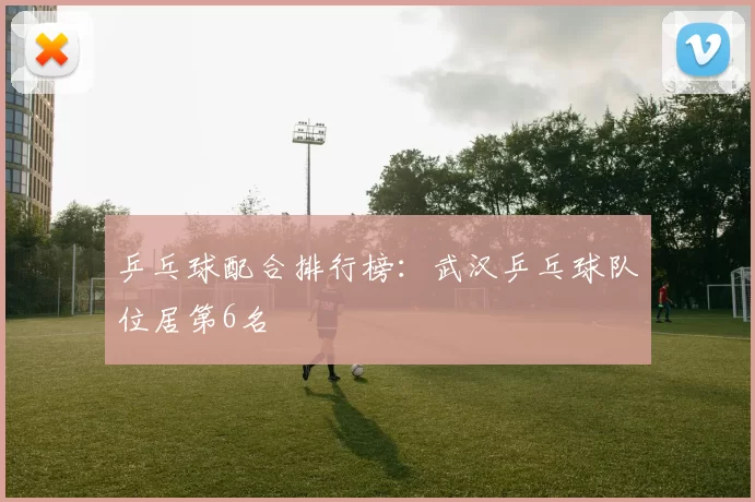 乒乓球配合排行榜：武汉乒乓球队位居第6名
