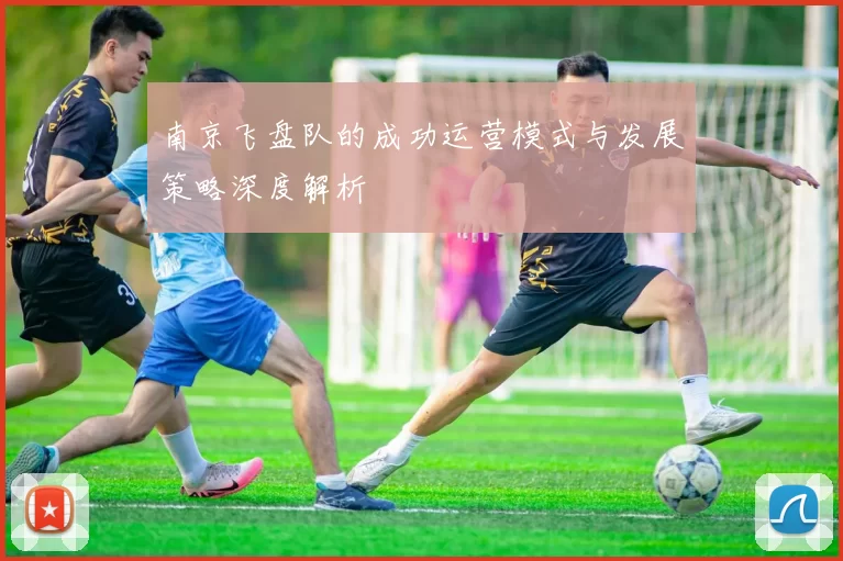 南京飞盘队的成功运营模式与发展策略深度解析