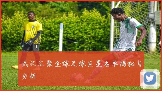 武汉汇聚全球足球巨星名单揭秘与分析