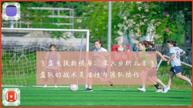 飞盘竞技新视角：深入分析北京飞盘队的战术灵活性与团队协作