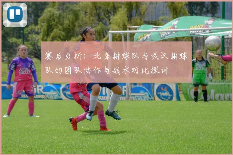 赛后分析：北京排球队与武汉排球队的团队协作与战术对比探讨