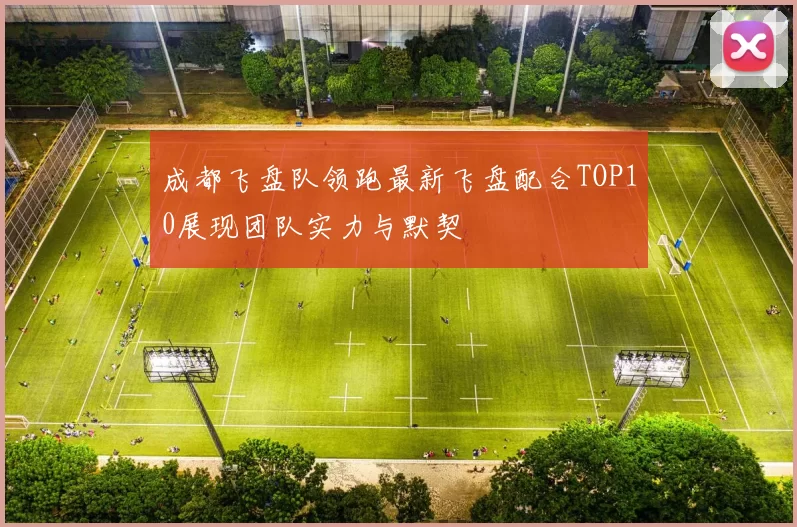 成都飞盘队领跑最新飞盘配合TOP10展现团队实力与默契