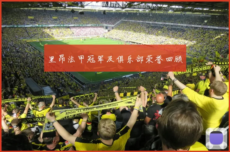里昂法甲冠军及俱乐部荣誉回顾