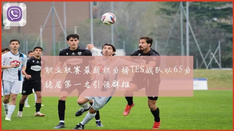 职业联赛最新积分榜TES战队以65分稳居第一名引领群雄