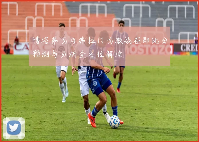 博塔弗戈与弗拉门戈激战在即比分预测与分析全方位解读