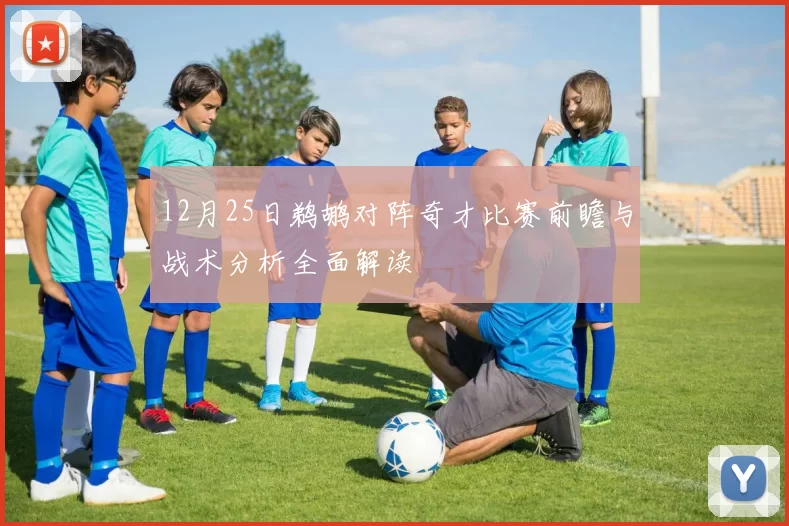 12月25日鹈鹕对阵奇才比赛前瞻与战术分析全面解读